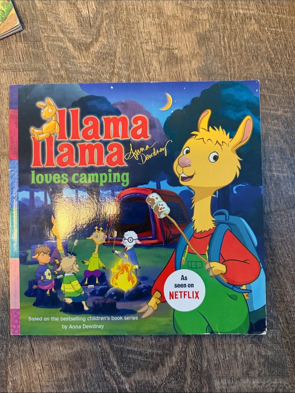 Bundle of kids books
